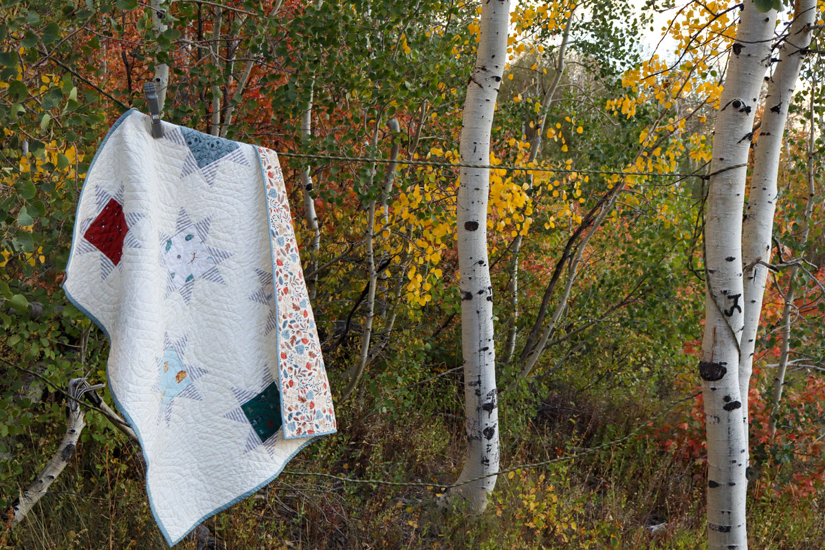 Scattered Stars Memory Quilt