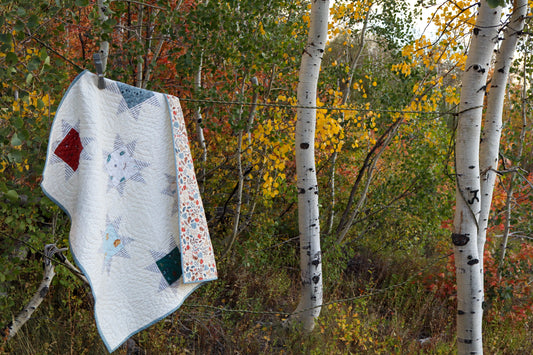 Scattered Stars Memory Quilt